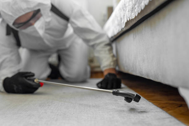 Professional Cockroach Control technician working in West Lealman, FL
