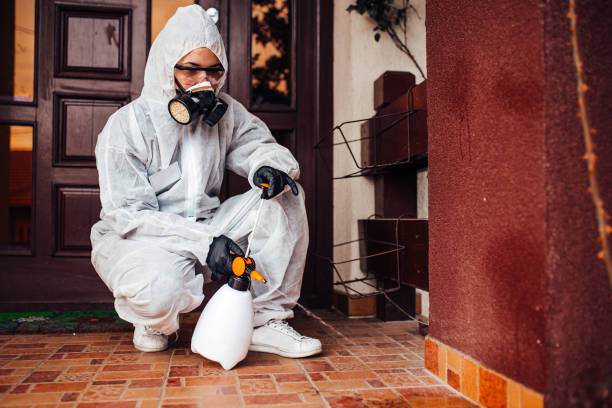 Reliable Cockroach Control contractor in West Lealman, FL by Nex Pest Control