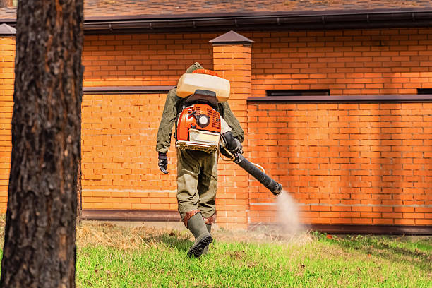 Trusted Mosquito Control service in West Lealman, FL - Nex Pest Control